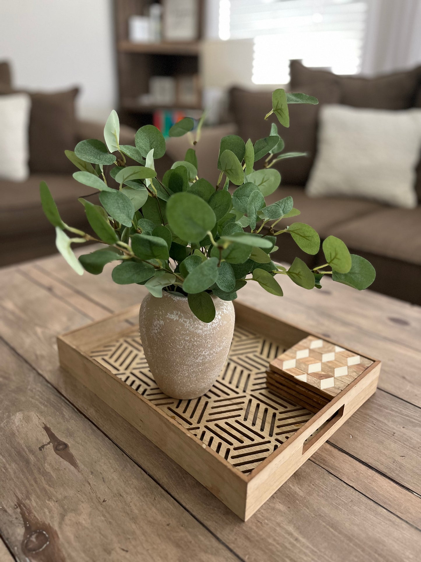 Eucalyptus Greenery Beige Home Decor